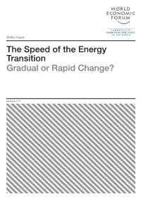 The Speed of the Energy Transition Gradual Or Rapid Change?
