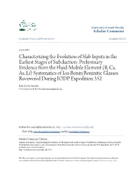 Characterizing the Evolution of Slab Inputs