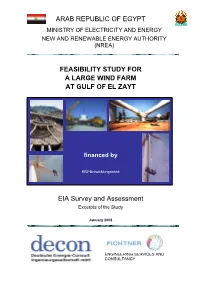 Feasibility Study for a Large Wind Farm at Gulf of El Zayt