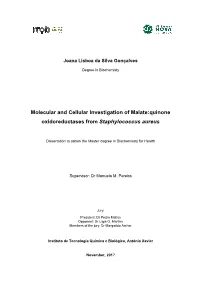 Molecular and Cellular Investigation of Malate:Quinone Oxidoreductases from Staphylococcus Aureus