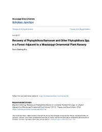 Recovery of Phytophthora Ramorum and Other Phytophthora Spp
