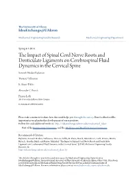 The Impact of Spinal Cord Nerve Roots and Denticulate Ligaments on Cerebrospinal Fluid Dynamics in the Cervical Spine