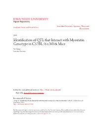 Identification of QTL That Interact with Myostatin Genotype in C57BL/6 X M16i Mice Ye Cheng Iowa State University