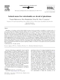 Isolated Mouse Liver Mitochondria Are Devoid of Glucokinase
