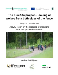 The Susiaita Project – Looking at Wolves from Both Sides of the Fence