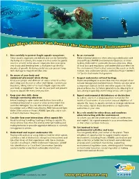 10 Ways Divers Can Help
