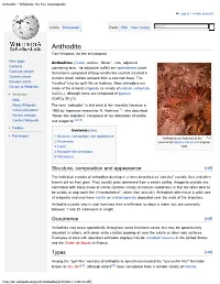 Anthodite - Wikipedia, the Free Encyclopedia