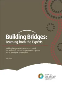 Building Bridges: Learning from the Experts