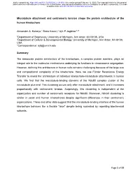 Of 33 Microtubule Attachment and Centromeric Tension Shape