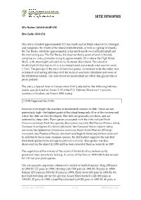 Site Synopsis