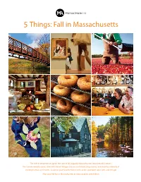 5 Things: Fall in Massachusetts