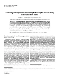 A Moving Wave Patterns the Cone Photoreceptor Mosaic Array in the Zebrafish Retina
