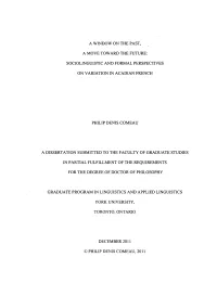 Sociolinguistic and Formal Perspectives on Variation In