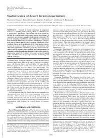 Spatial Scales of Desert Locust Gregarization