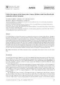 Calls of Five Species of the Scinax Ruber (Anura: Hylidae) Clade from Brazil with Comments on Their Taxonomy