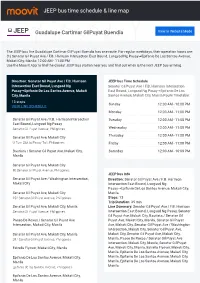 JEEP Bus Time Schedule & Line Route