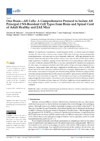 One Brain—All Cells: a Comprehensive Protocol to Isolate All Principal CNS-Resident Cell Types from Brain and Spinal Cord of Adult Healthy and EAE Mice