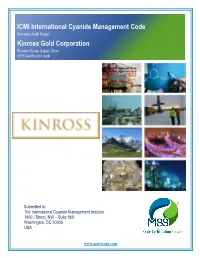 Summary Audit Report