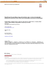 A Review of Sustainable Pathways for Biorefinery Value Chains and Sustainability Assessment Methodologies