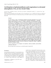 Acclimation of Photosynthesis and Respiration to Elevated Atmospheric CO2 in Two Scrub Oaks