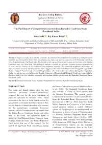 Article in Press