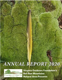 2020 Annual Report | 2 Looking North up the Bull Run Mountains from Thoroughfare Gap