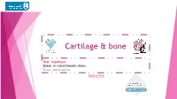 Cartilage & Bone