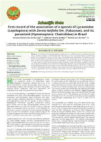 First Record of the Association of a Species of Lycaenidae (Lepidoptera) with Zornia Latifolia Sm