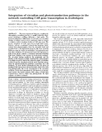 Integration of Circadian and Phototransduction Pathways in the Network Controlling CAB Gene Transcription in Arabidopsis