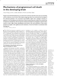 Mechanisms of Programmed Cell Death in the Developing Brain