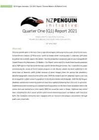 NZ Penguin Initiative, Q1 2021 Report, Thomas Mattern & Richard