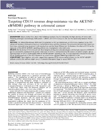 Targeting CD133 Reverses Drug-Resistance Via the AKT/NF-ÎºB/MDR1 Pathway in Colorectal Cancer