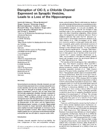 Disruption of Clc-3, a Chloride Channel Expressed on Synaptic Vesicles, Leads to a Loss of the Hippocampus