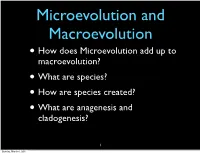 •How Does Microevolution Add up to Macroevolution? •What Are Species