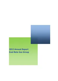 2012 Annual Report Enel Rete Gas Group