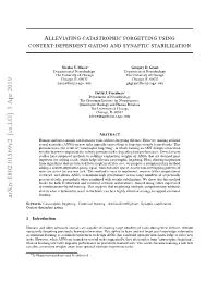 Alleviating Catastrophic Forgetting Using Context-Dependent Gating and Synaptic Stabilization
