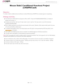 Mouse Stab2 Conditional Knockout Project (CRISPR/Cas9)
