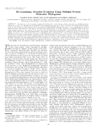 Re-Examining Alveolate Evolution Using Multiple Protein Molecular Phylogenies