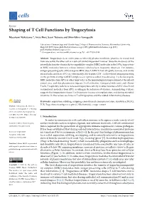 Shaping of T Cell Functions by Trogocytosis