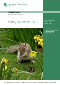 Spring Statement 2019 Daniel Harari