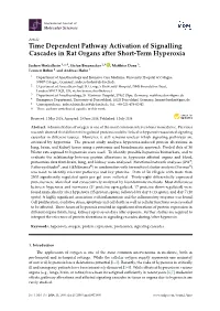 Time Dependent Pathway Activation of Signalling Cascades in Rat Organs After Short-Term Hyperoxia