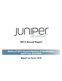 2013 Annual Report
