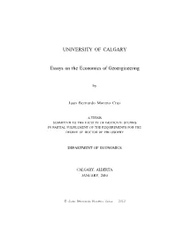 Essays on the Economics of Geoengineering