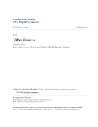 Urban Illusions Haley R