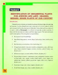 IDENTIFICATION of MAJOR ORNAMENTAL TREES for AVENUES Objective