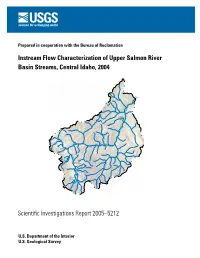 Instream Flow Characterization of Upper Salmon River Basin Streams, Central Idaho, 2004