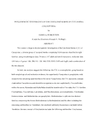 Phylogenetic Systematics of the Cerylonid Series of Cucujoidea