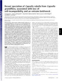 Recent Speciation of Capsella Rubella from Capsella Grandiflora, Associated with Loss of Self-Incompatibility and an Extreme Bottleneck