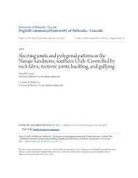 Sheeting Joints and Polygonal Patterns in the Navajo Sandstone, Southern Utah: Controlled by Rock Fabric, Tectonic Joints, Buckling, and Gullying David B