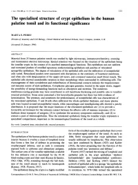 The Specialised Structure of Crypt Epithelium in the Human Palatine Tonsil and Its Functional Significance